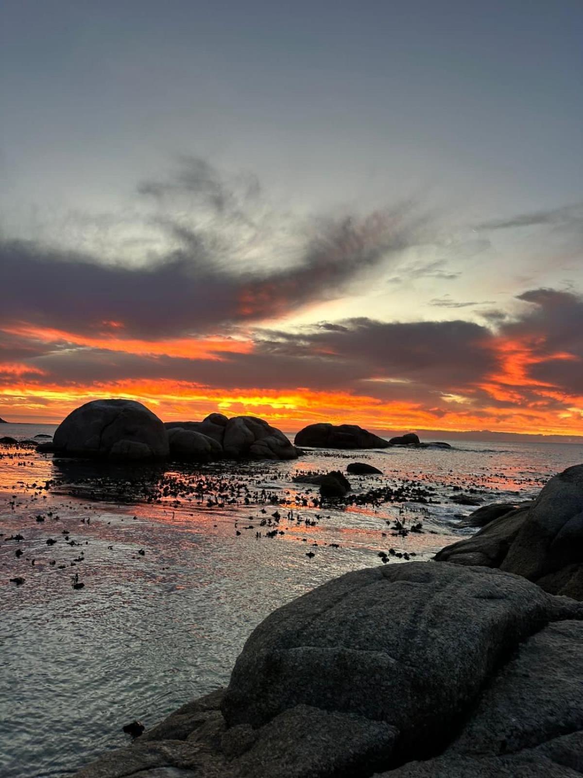 Mettahouse Villa Cape Town Bagian luar foto